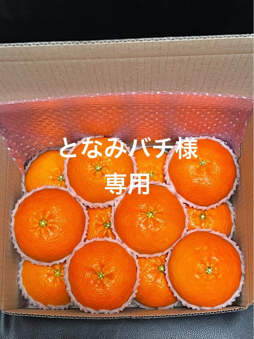 甘平⚠贈答用・特選 2L玉(3kgx2箱)