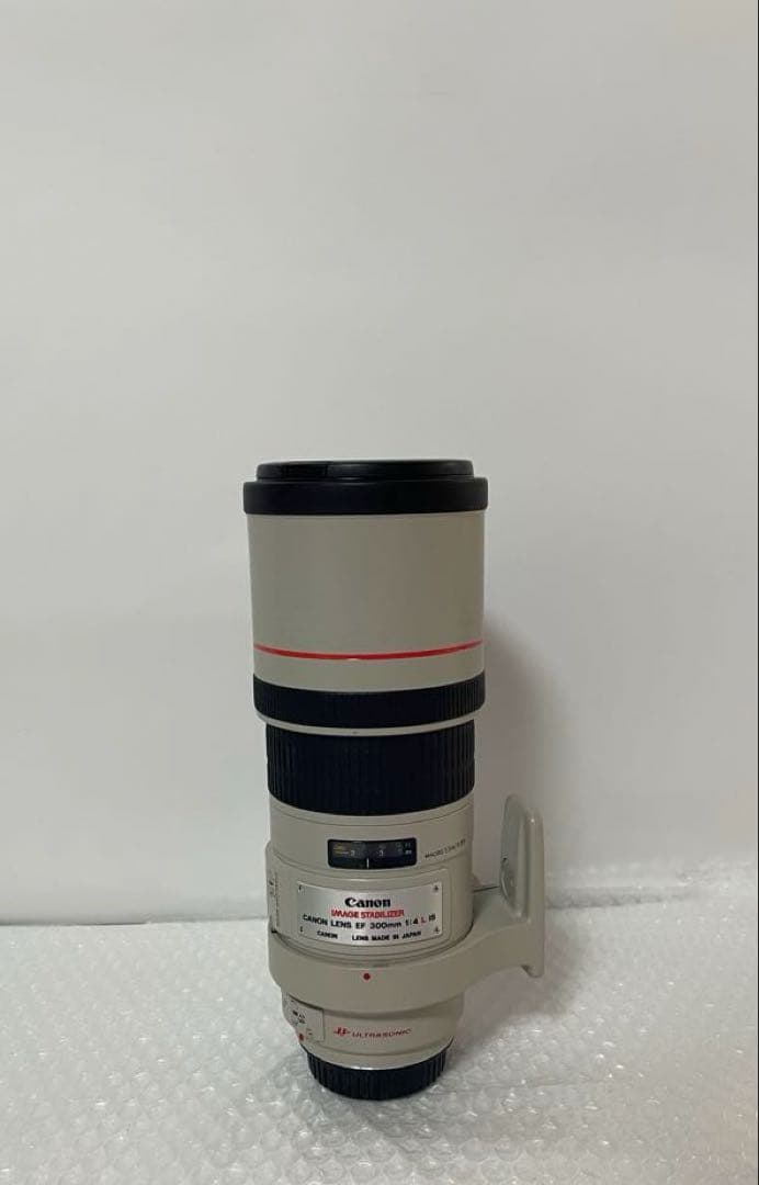 Canon EF 300mm F4 L USM キヤノン望遠レンズ EFマウント