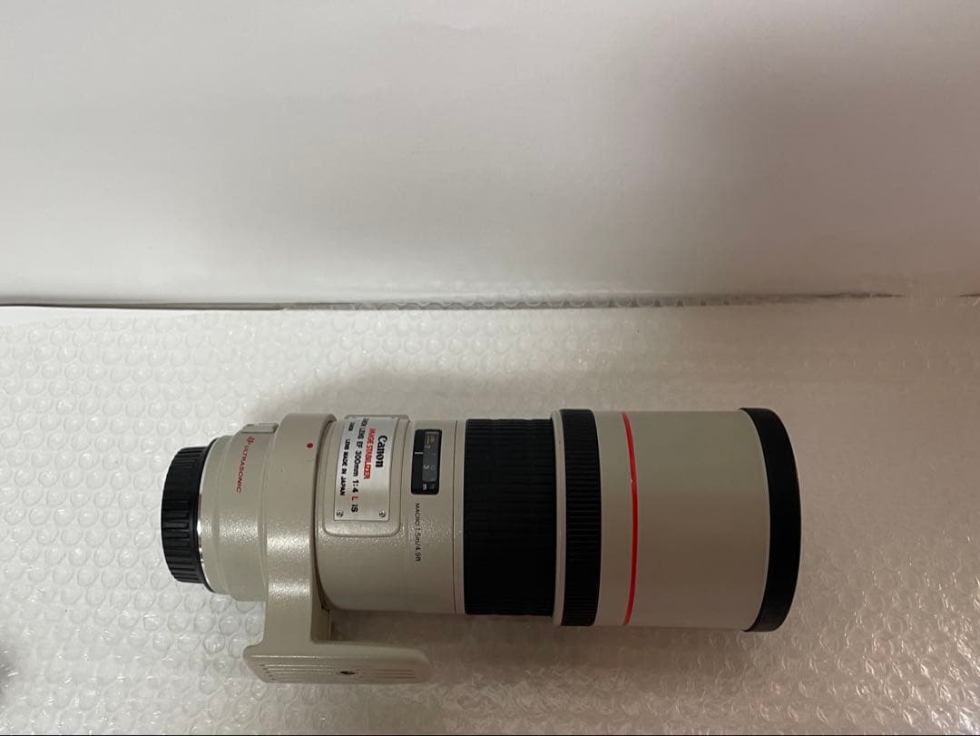 Canon EF 300mm F4 L USM キヤノン望遠レンズ EFマウント