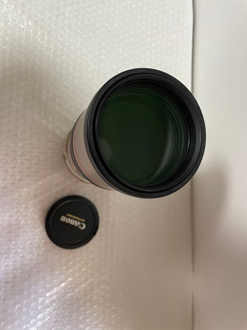 Canon EF 300mm F4 L USM キヤノン望遠レンズ EFマウント