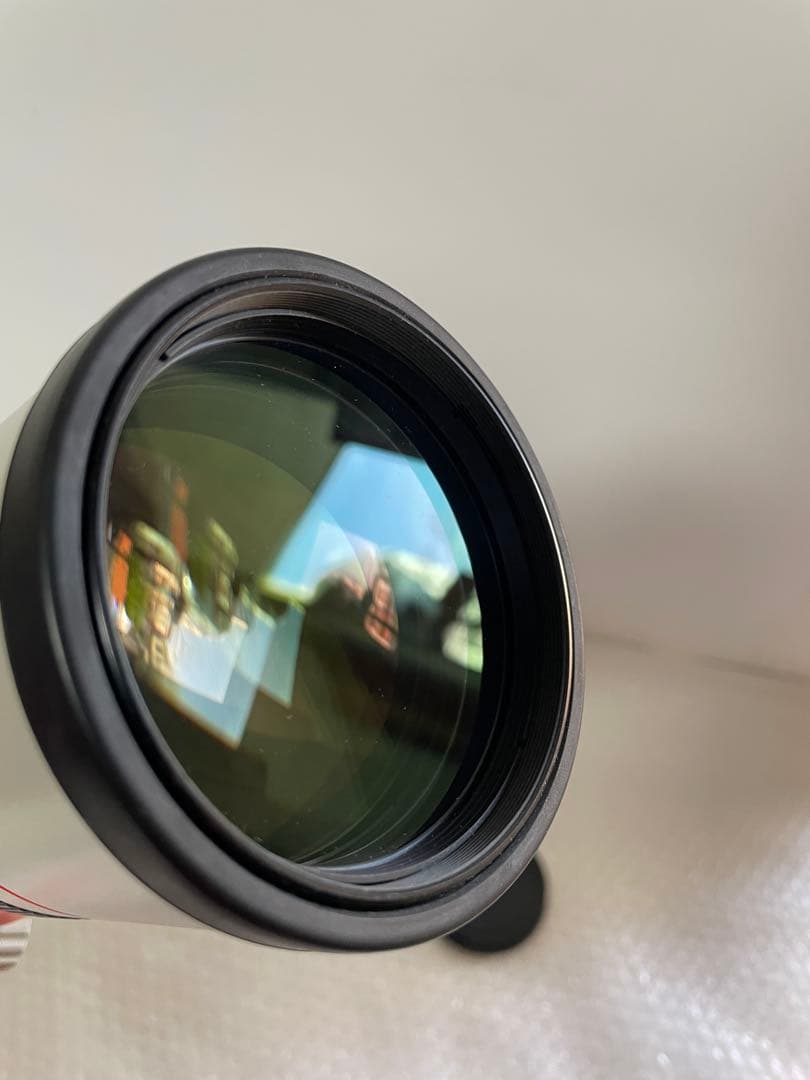 Canon EF 300mm F4 L USM キヤノン望遠レンズ EFマウント