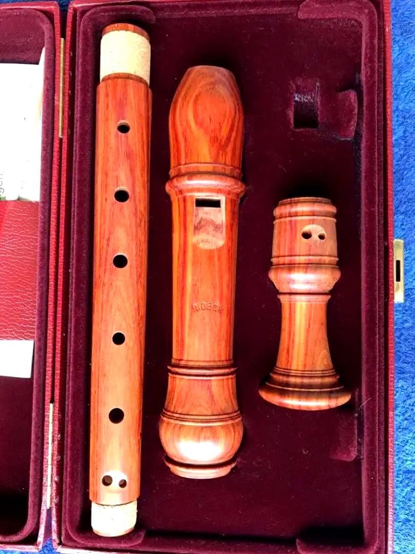 MOECK高級アルトリコーダー(メルカリ専用)