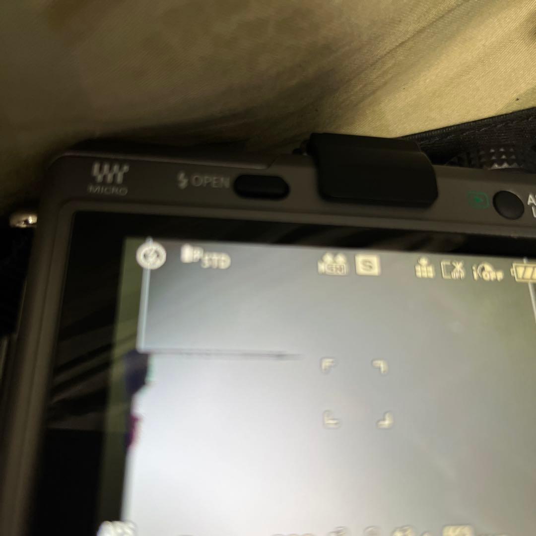 Panasonic LUMIX DMC-GF1【ブレードシルバー】