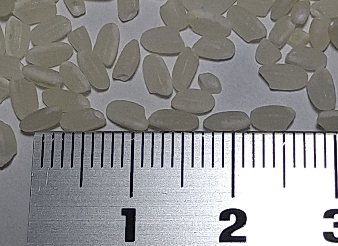 特別栽培米ひとめぼれ９kg　米粒成長期の農薬不使用、化学肥料半減