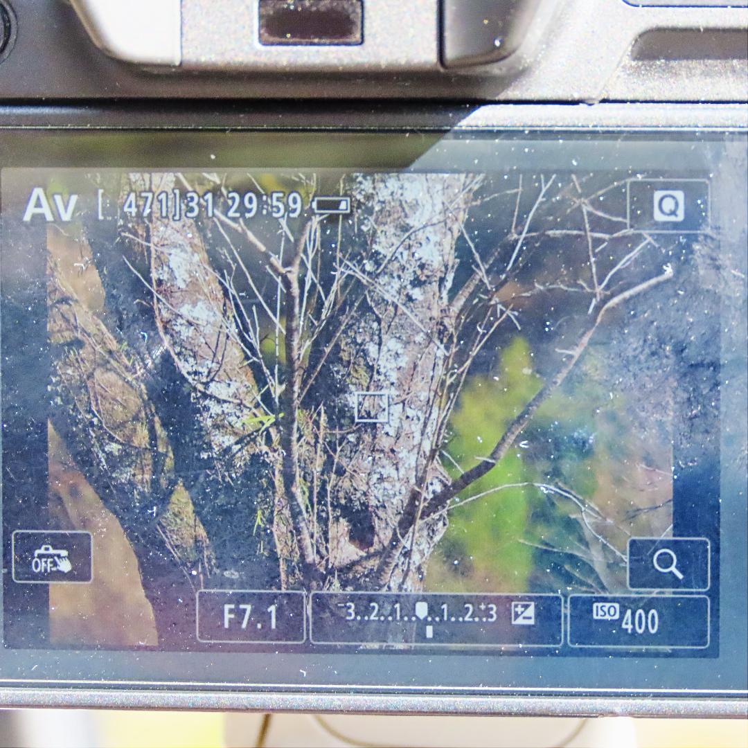 CANON レンズ EF350-350