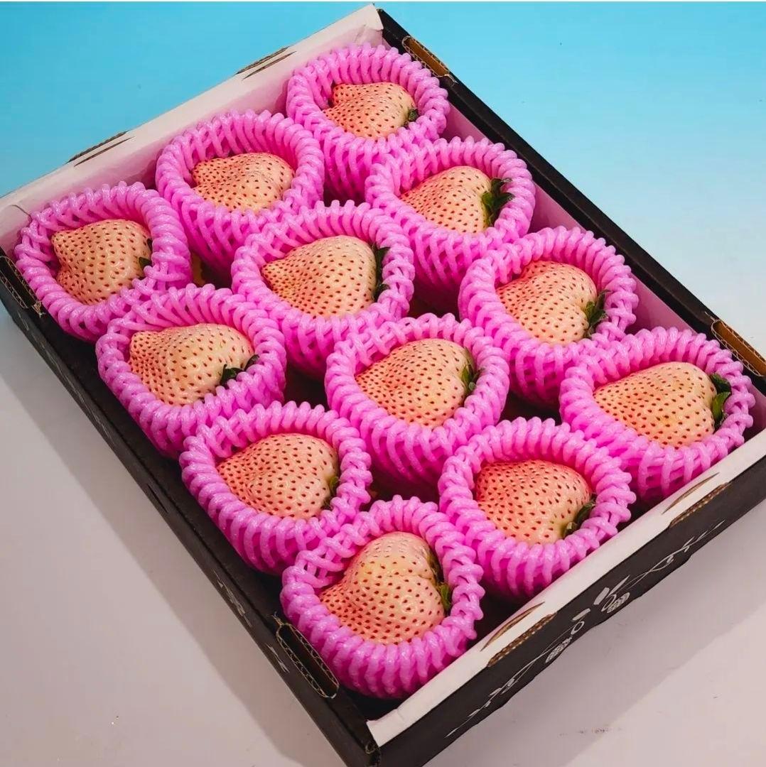 佐賀産【凛々 天使のイチゴ】4~5L特大粒!! 化粧箱入 12粒 15箱専用