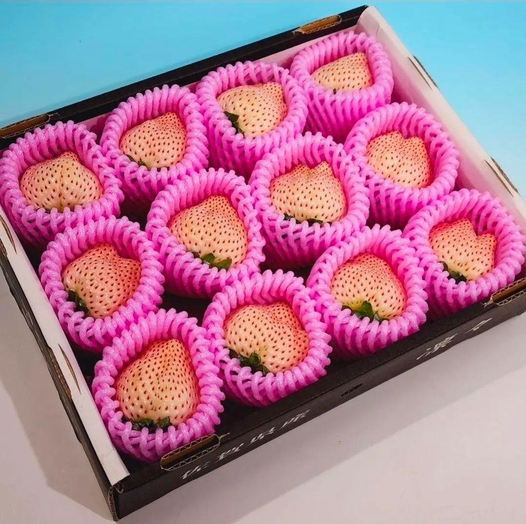 佐賀産【凛々 天使のイチゴ】4~5L特大粒!! 化粧箱入 12粒 15箱専用