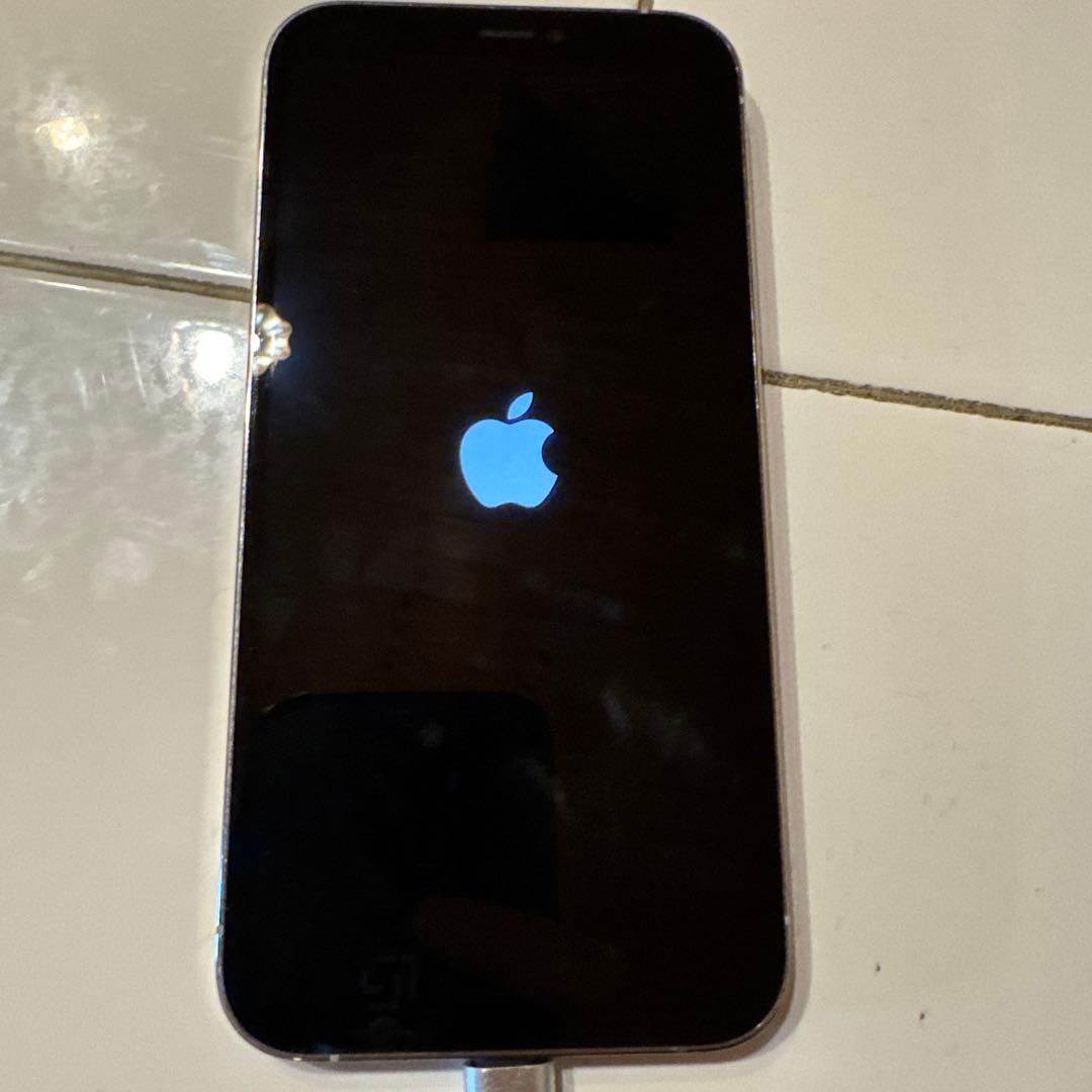 【美品】AppleiPhone12 Pro シルバー 本体　256GBジャンク品