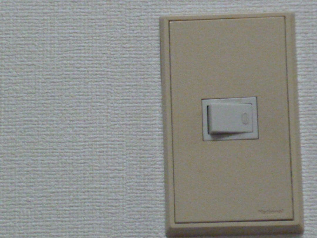 ◆スマホ転送OK◆パナソニックLUMIX DMC-ZX1 SDカード付き