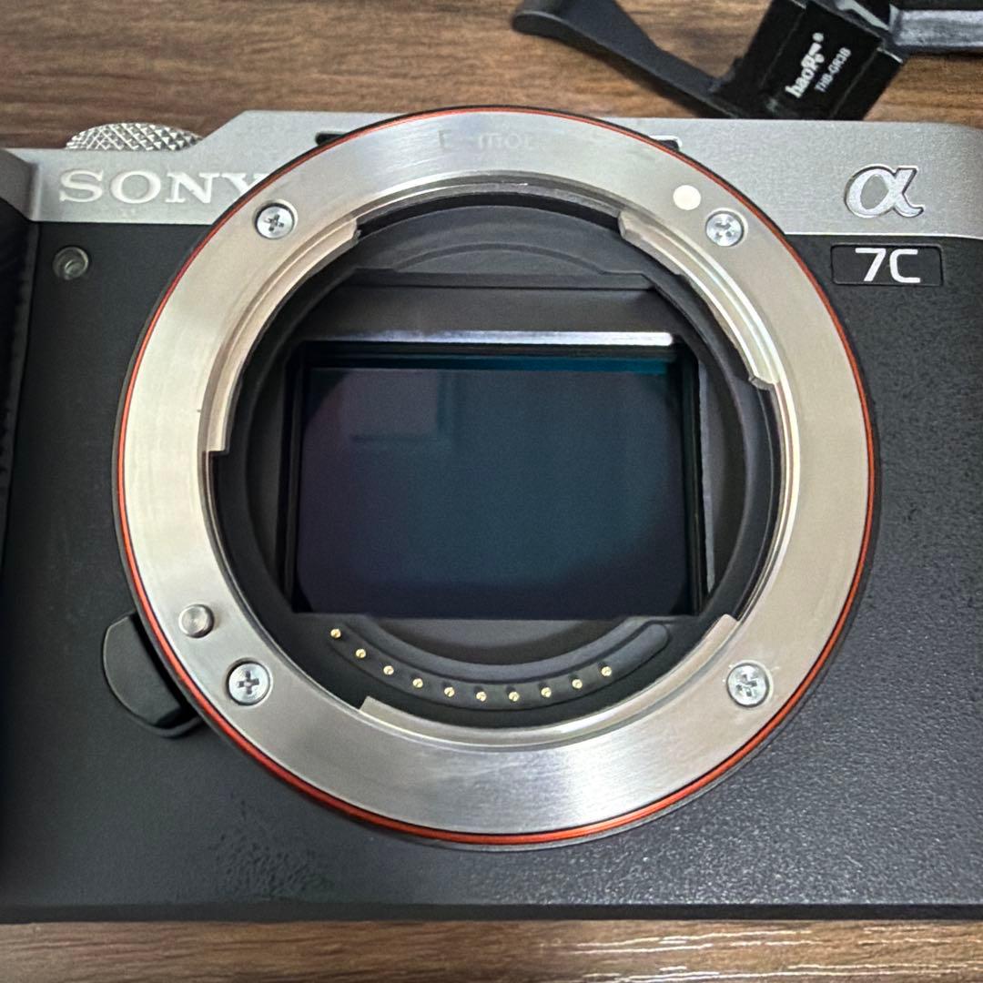 SONY α7C