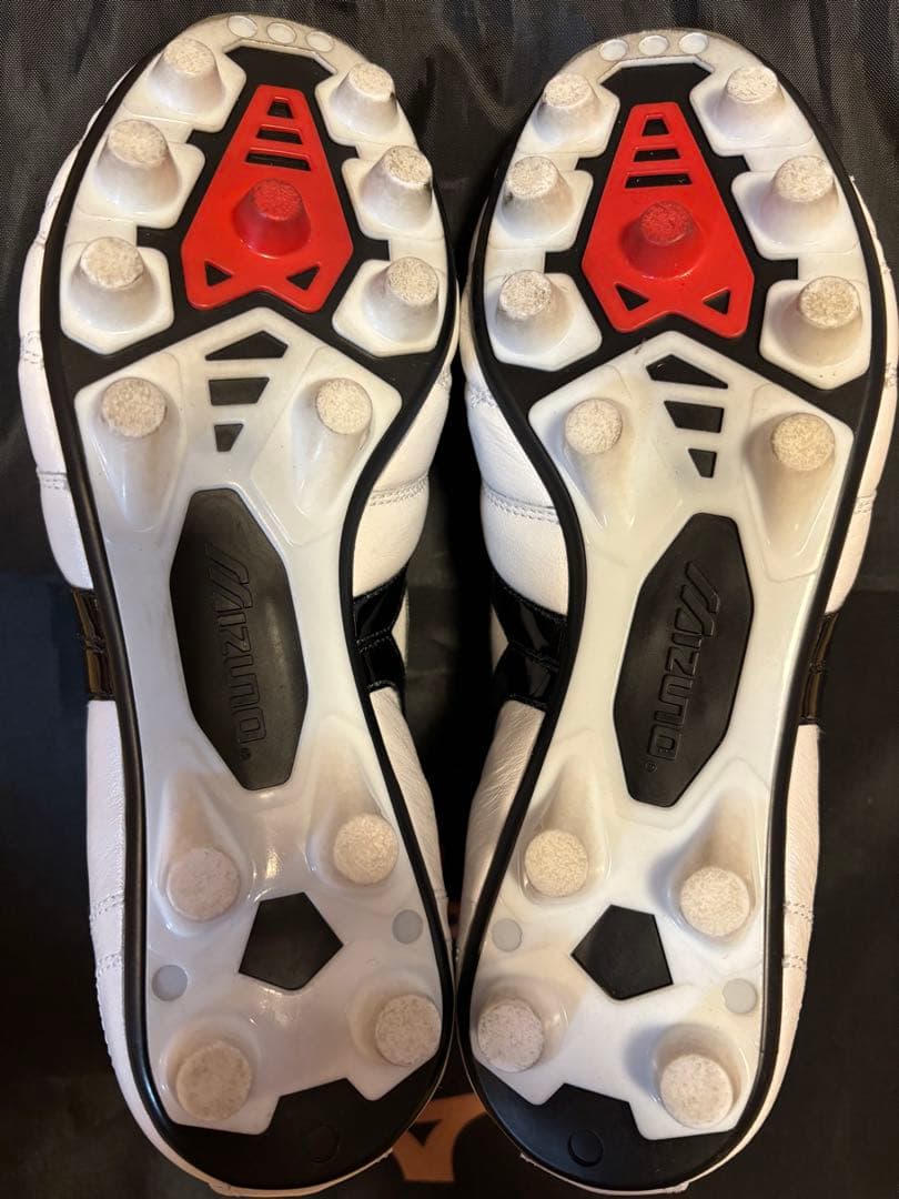 A*a様 モレリア 2 JAPAN(ショートタン＆クロスステッチ) 24cm