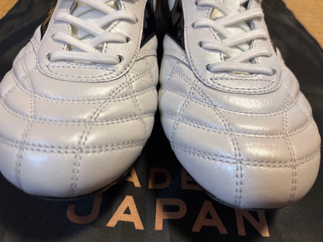 A*a様 モレリア 2 JAPAN(ショートタン＆クロスステッチ) 24cm