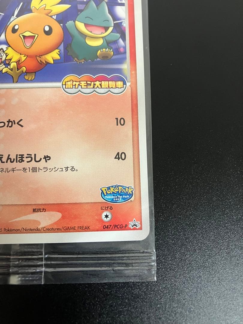 ポケモンカード ポケパークのアチャモ 047/PCG-P 限定プロモ 未開封