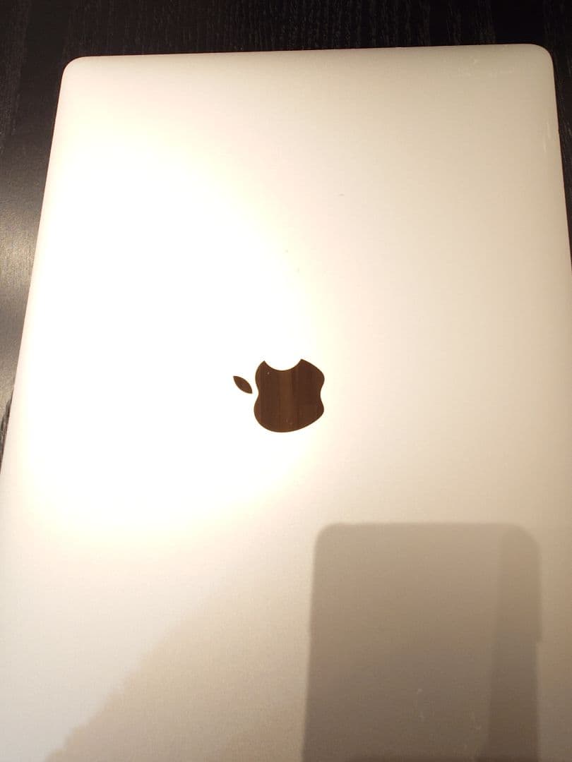 MacBook本体 MacBook Pro 15-inc 2016 16GB 512GB