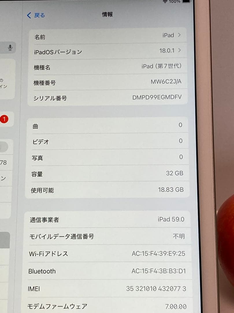 Apple iPad 第7世代（SIMフリー版）32GB バッテリー99%⭐️