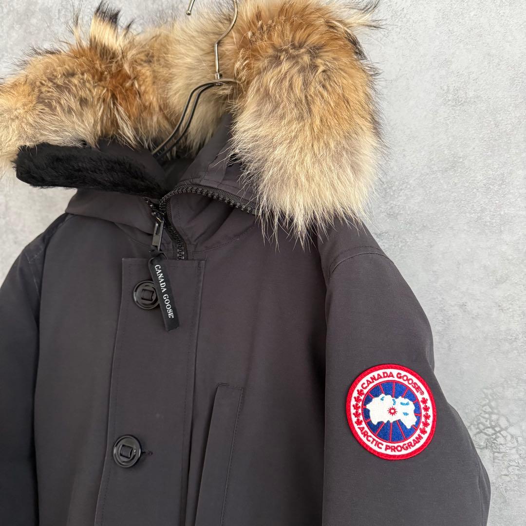 【うずら】  jasper カナダグース ジャスパー