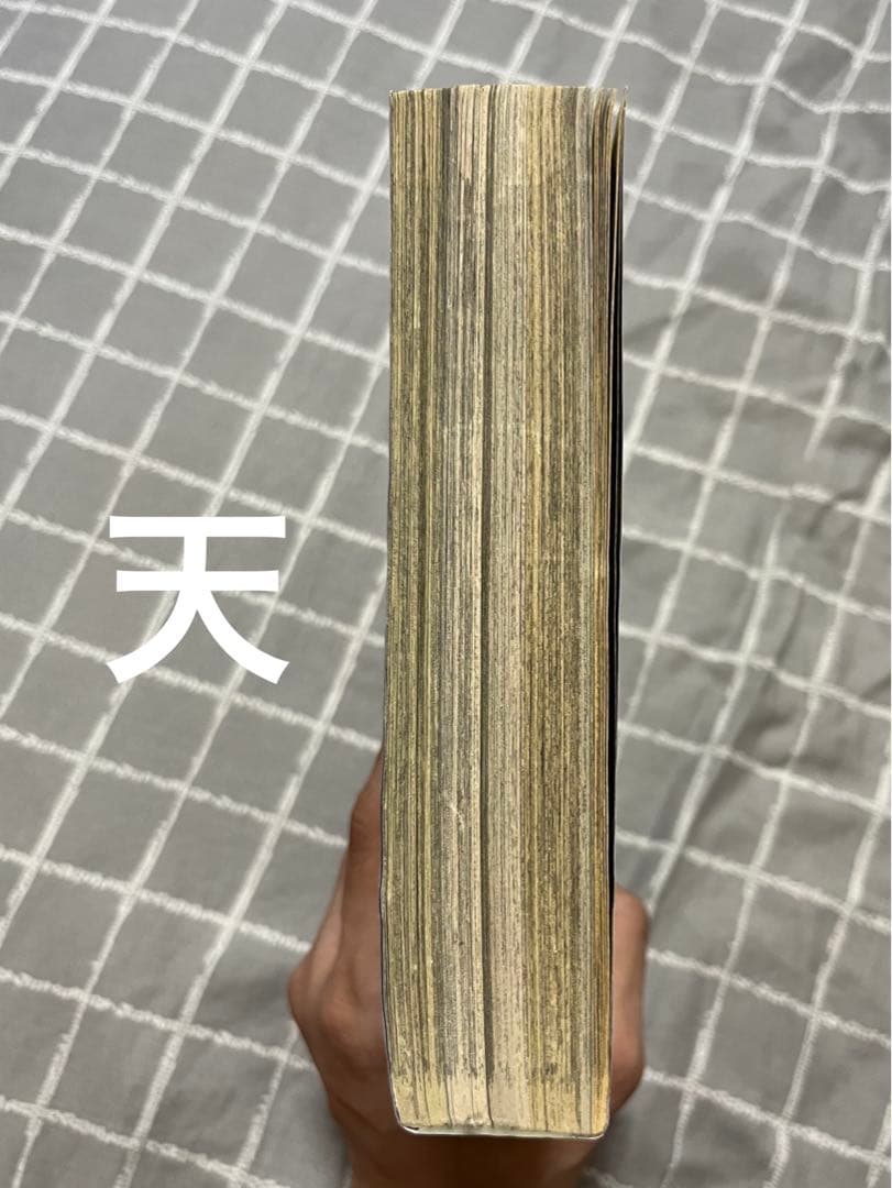 週刊少年サンデー　マギ新連載号