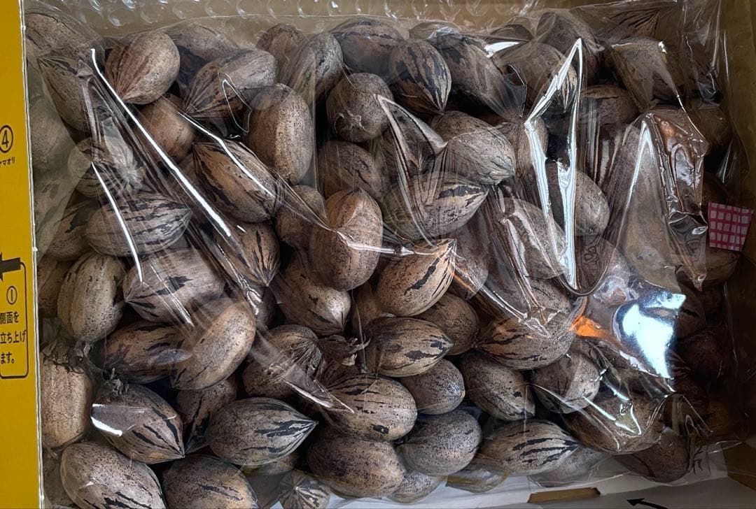 ピーカンナッツ 2026年　国産　750g×5袋　残りわずか