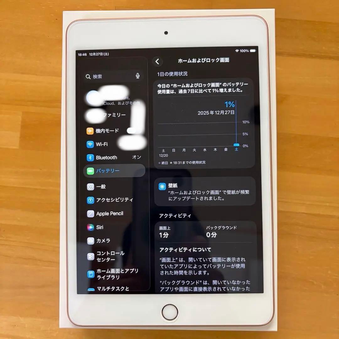 ❤️iPad mini 第5世代 64GB WIFI ゴールド 美品
