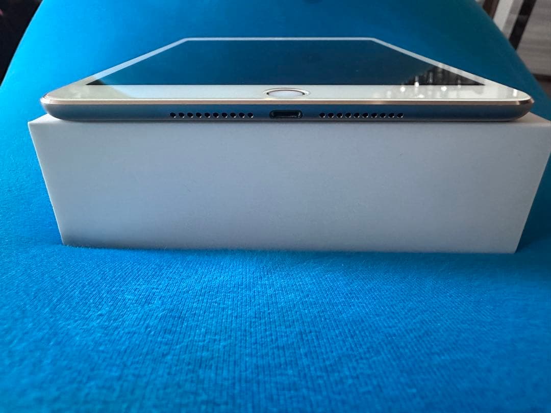 【付属品未使用 美品】iPad mini 4 Wi-Fi 64GB ゴールド