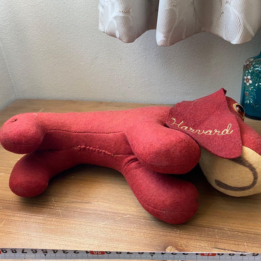 ダックスフンド　ハーバード大学　カレッジドール　カレッジマスコット　ぬいぐるみ