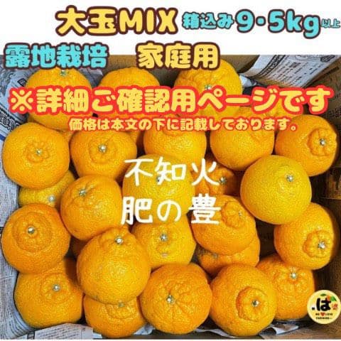※確認用　家庭用　大玉MIX箱込み9.5kg以上【露地栽培　不知火　デコポン】