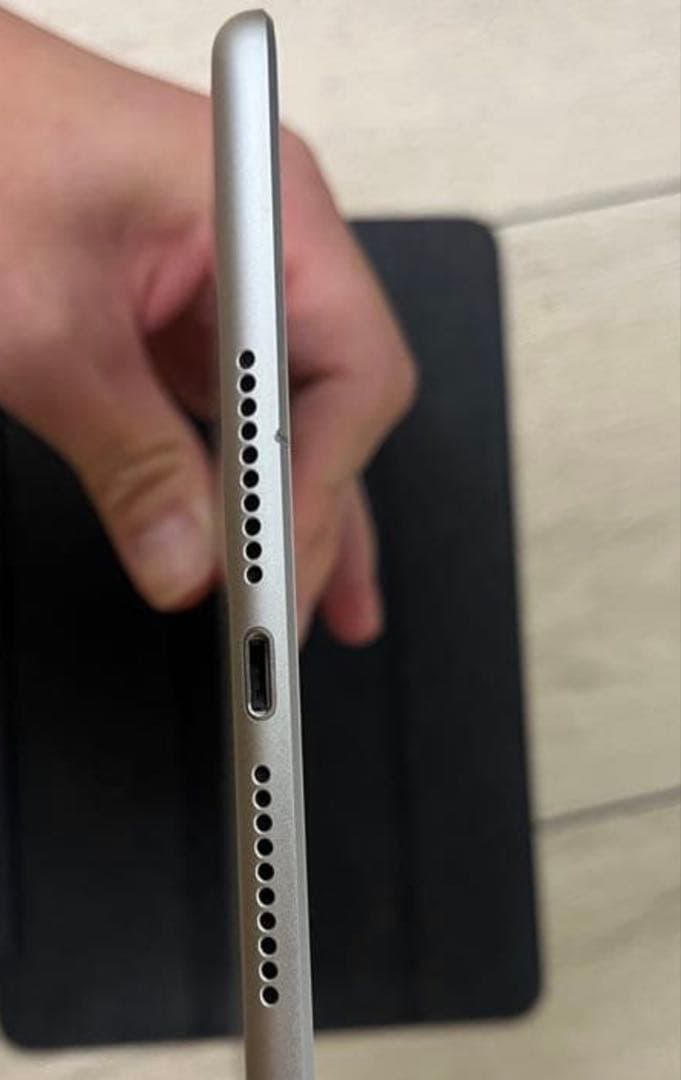 最後値下げApple iPad mini 5 WIFIモデルスマートカーバセット