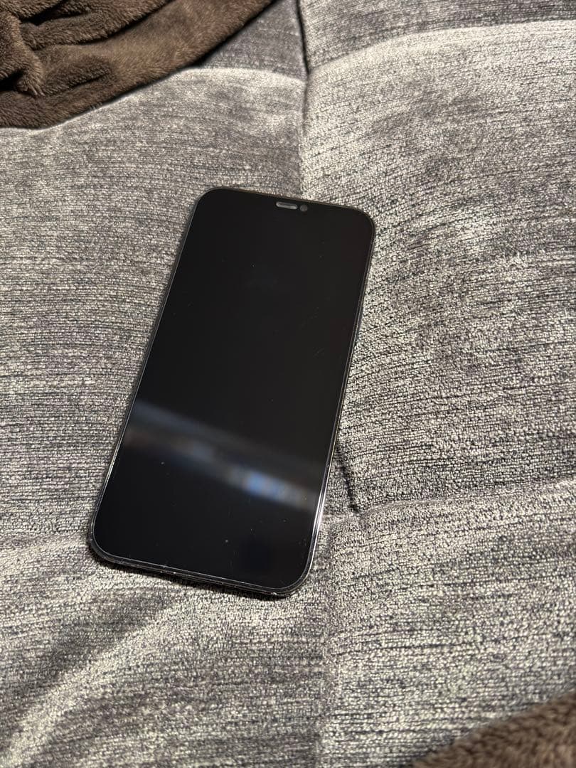 早いもの勝ち iPhone12promax 256GB 本体　SIMフリー