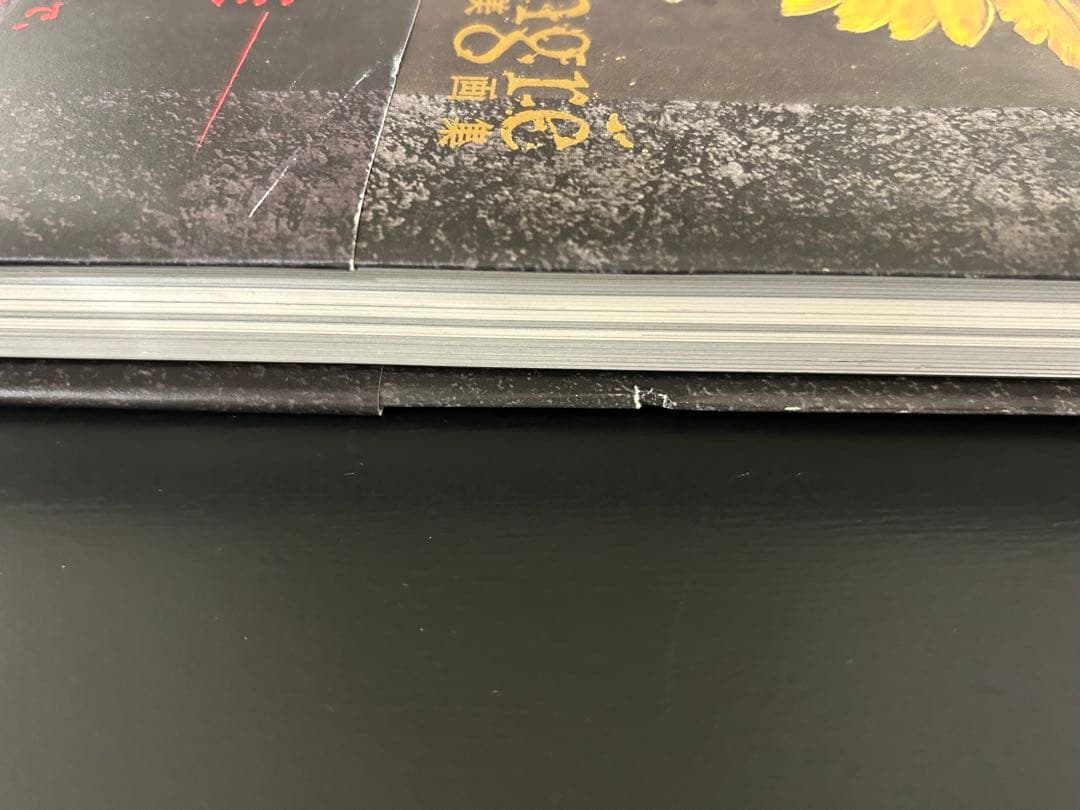 小島文美 画集 緋いユリ Santa Lilio Sangre