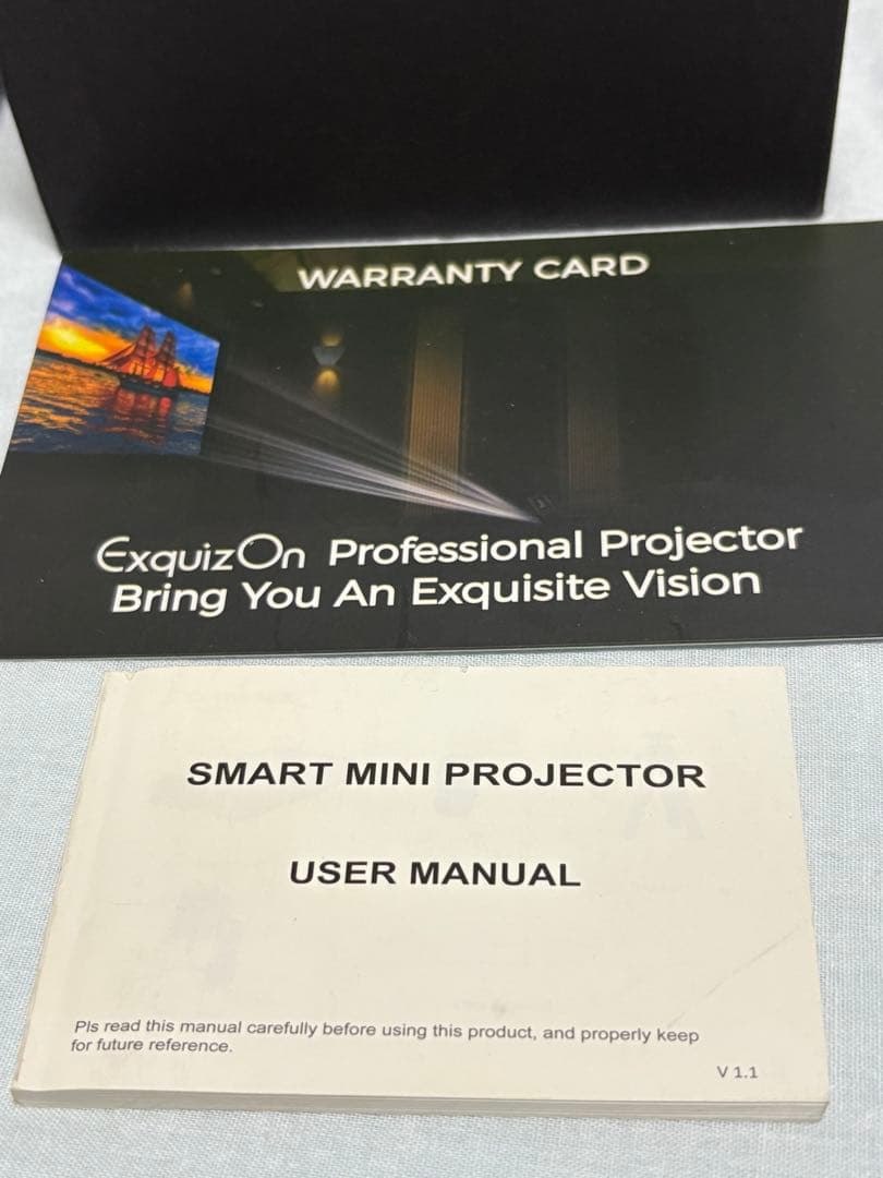 Smart mini projector PTVdisplayミニプロジェクター