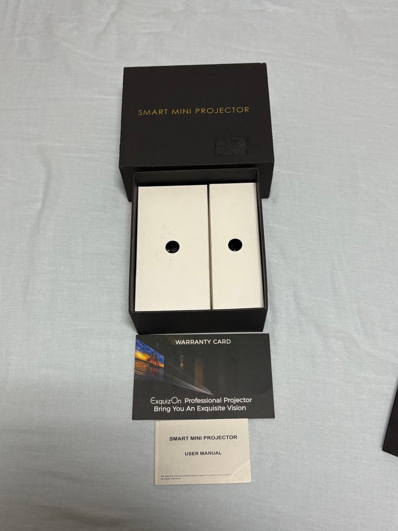 Smart mini projector PTVdisplayミニプロジェクター