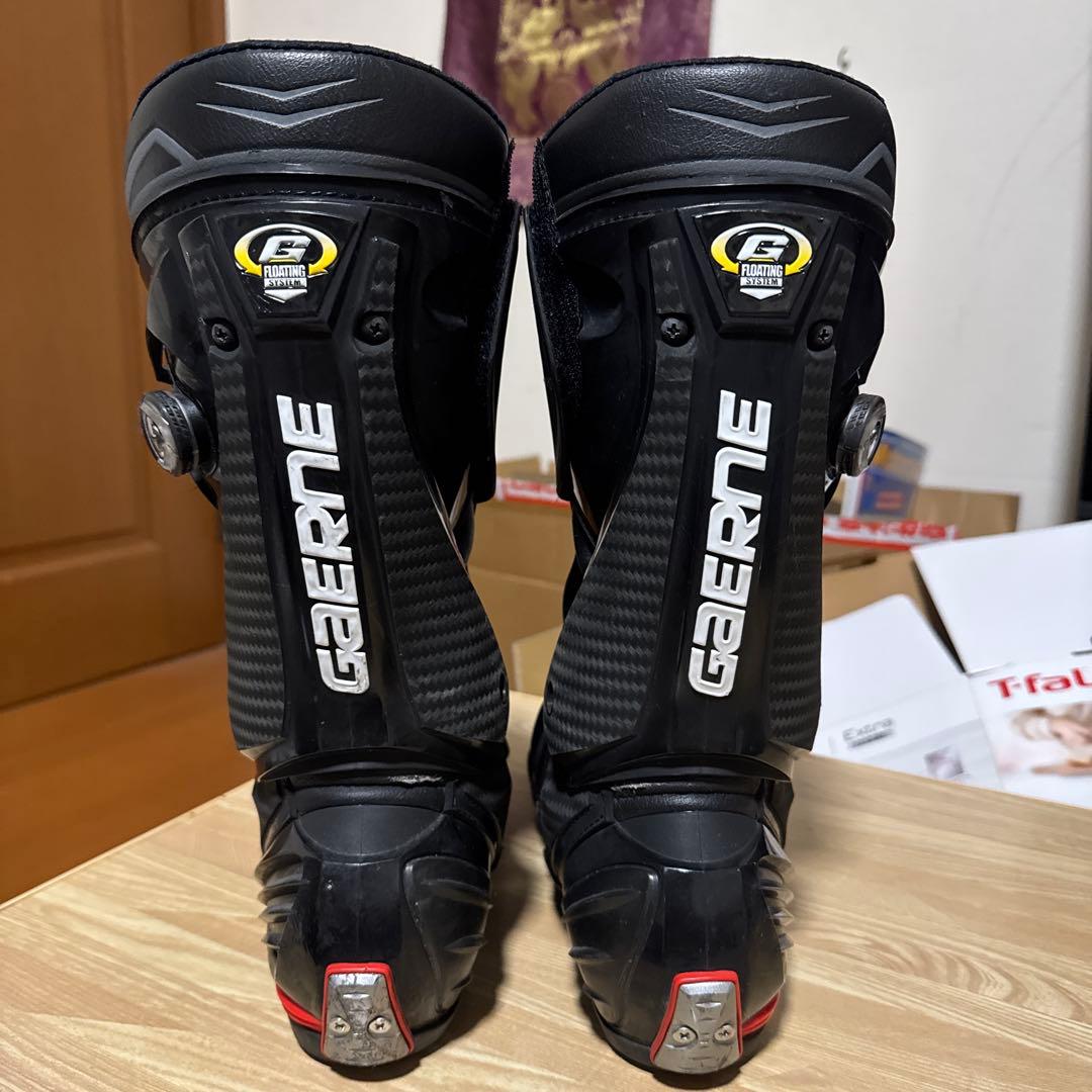 J*e様 ガエルネGP-1 EVO