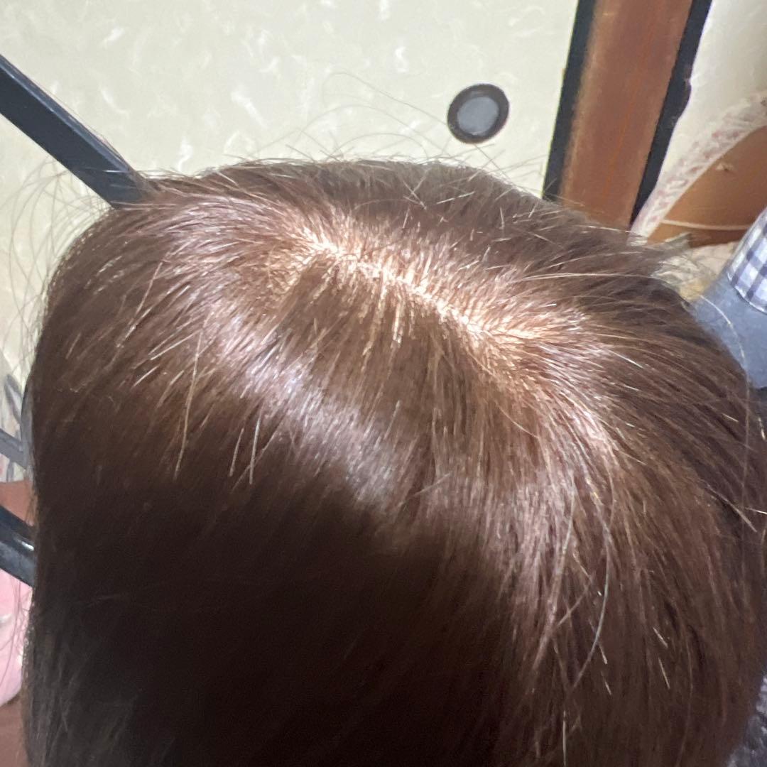 新品！ 人毛ダークブラウン ストレートウィッグ