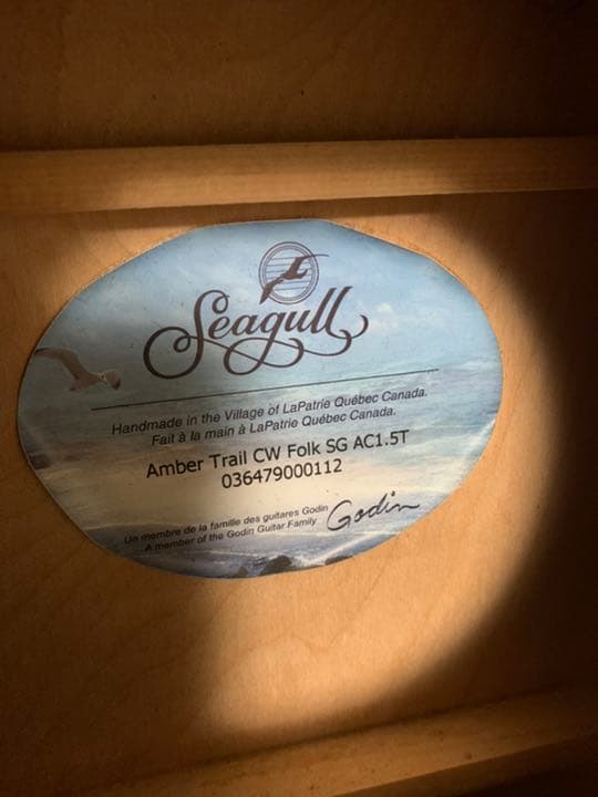 エレアコ　ギター seagull Amber Trail シーガル