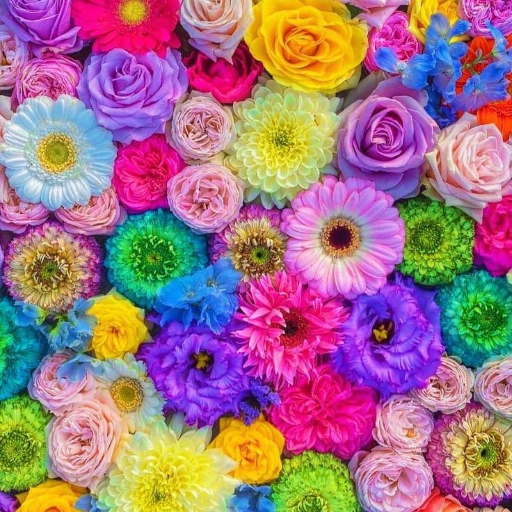 趣味・スポーツ・実用 kuma