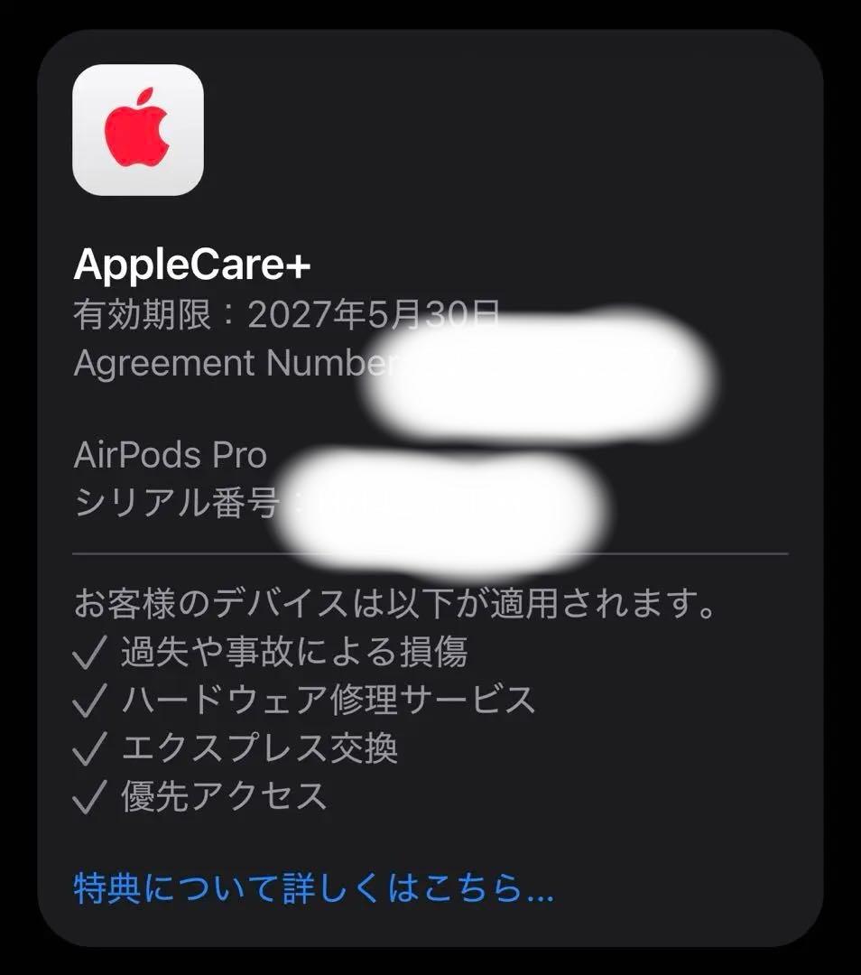 Apple AirPods Pro (第2世代) 箱 付属品未使用 USB-C