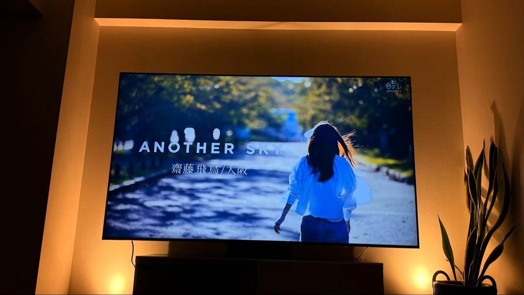 ［ほぼ新品］TCL 75V 4Kテレビ 量子ドットMiniLED 75QM8B