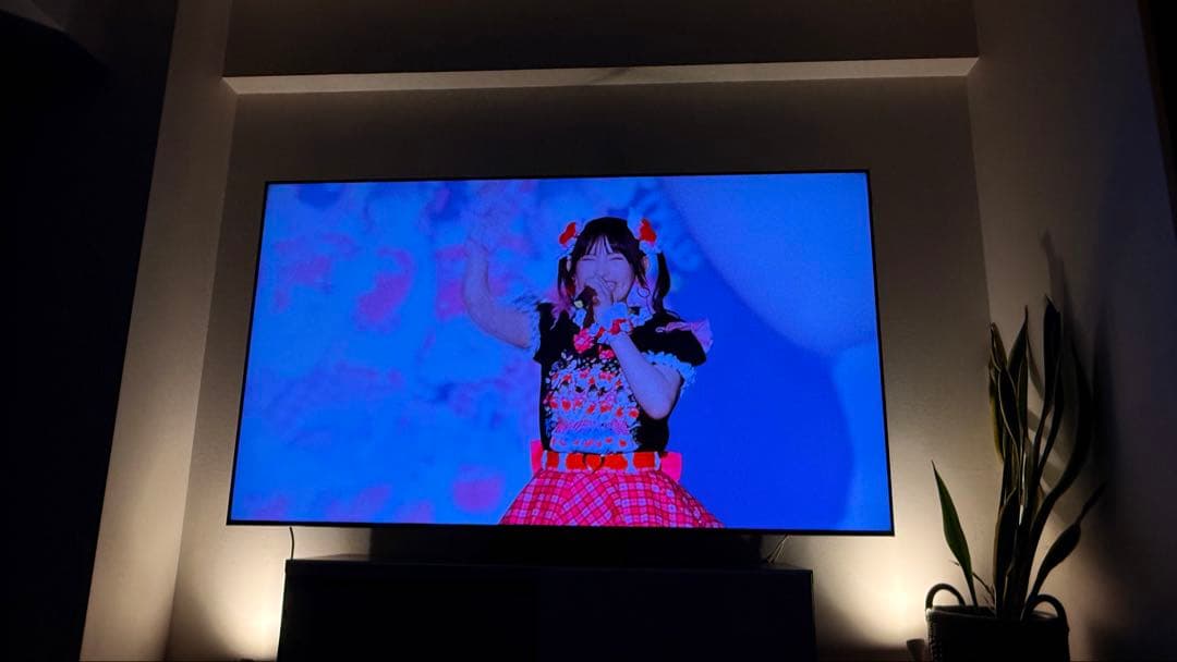 ［ほぼ新品］TCL 75V 4Kテレビ 量子ドットMiniLED 75QM8B