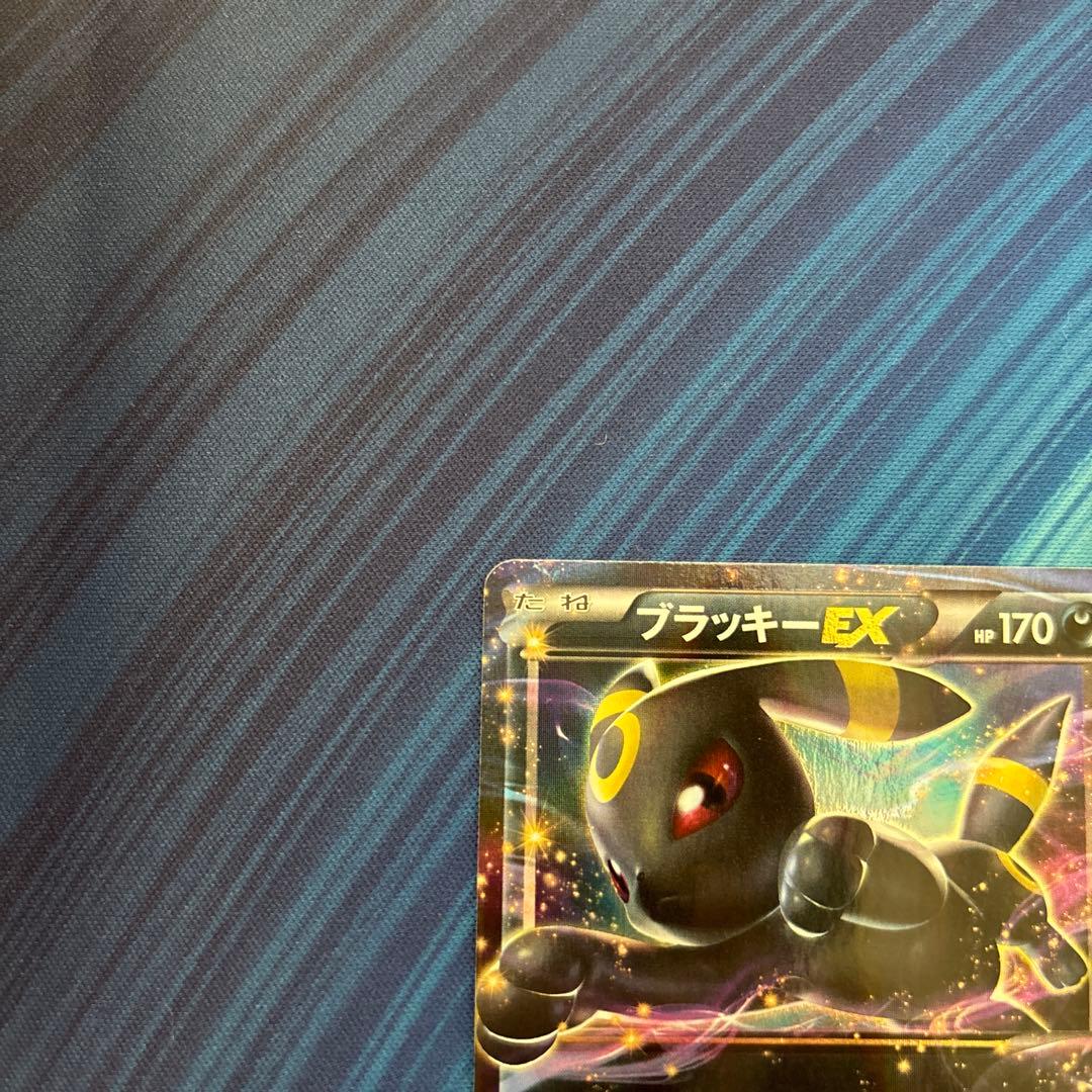 ポケカ　ブラッキーＥＸ　RR XY10