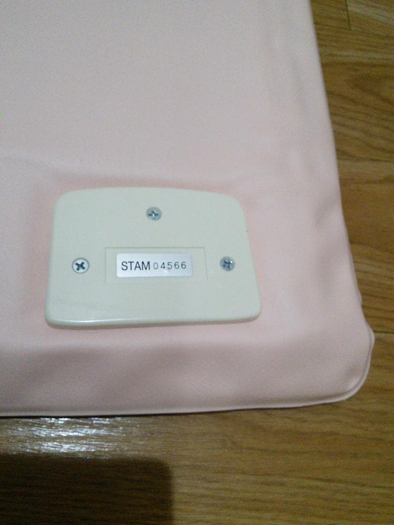 ピュアルネッサンス　ホルミシス　エスティーマットST240　難あり