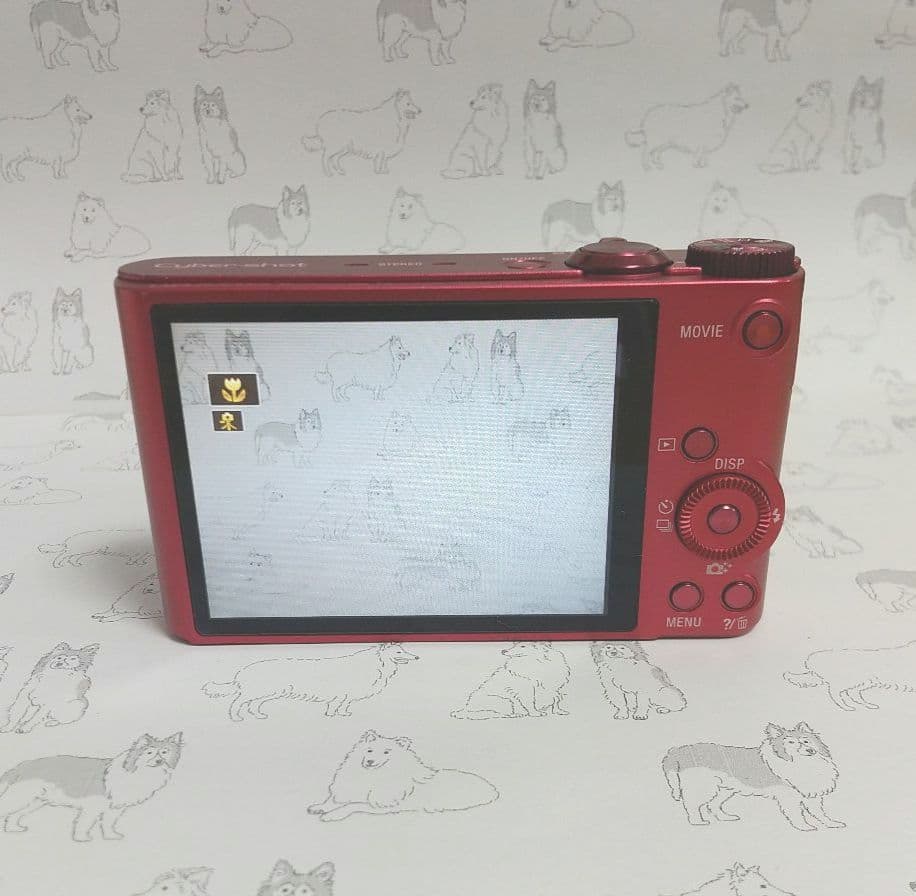 【RS76】SONY Cyber-shot DSC-wx300 デジカメ 本体