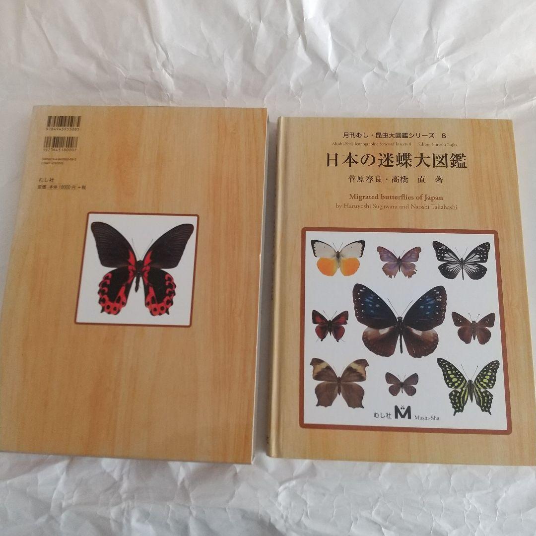 日本の迷蝶大図鑑