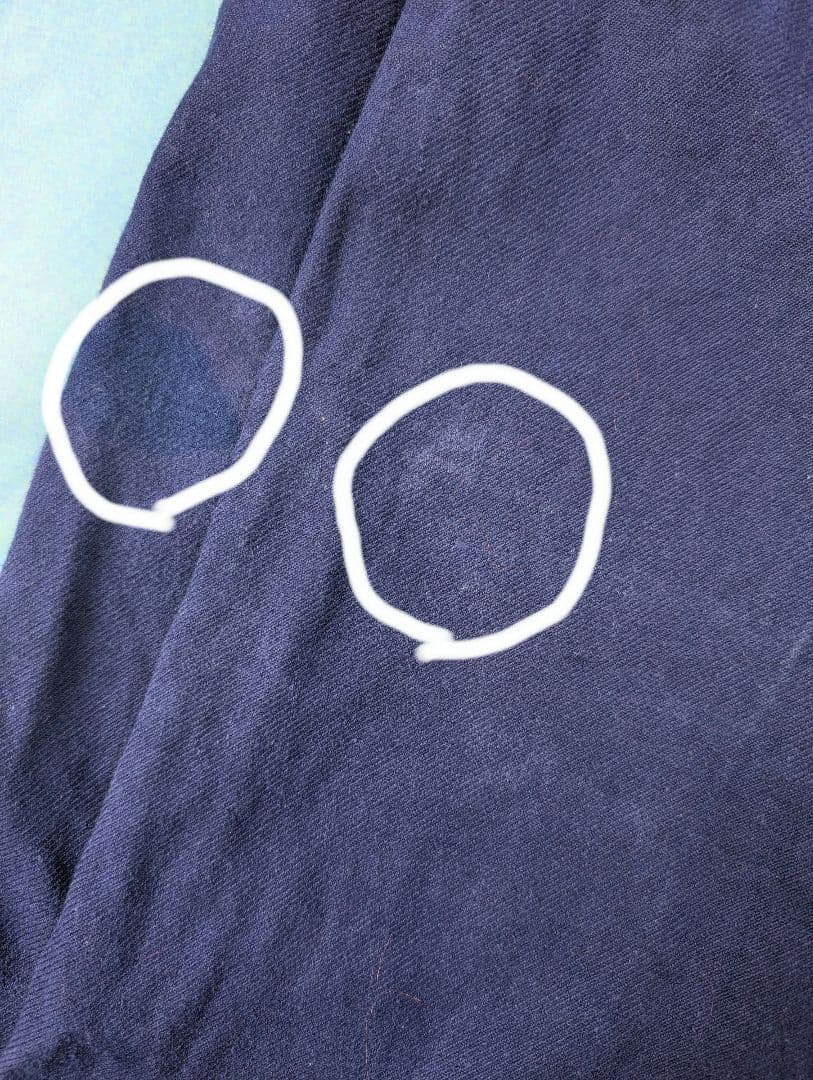 【毬藻】希少 le mont st michel 50s