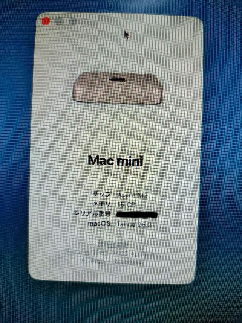 Mac mini M2 / メモリ16GB / SSD 256GB