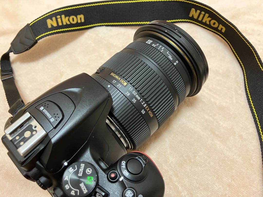 Nikon D5600 デジタル一眼レフカメラ 本体 レンズセット
