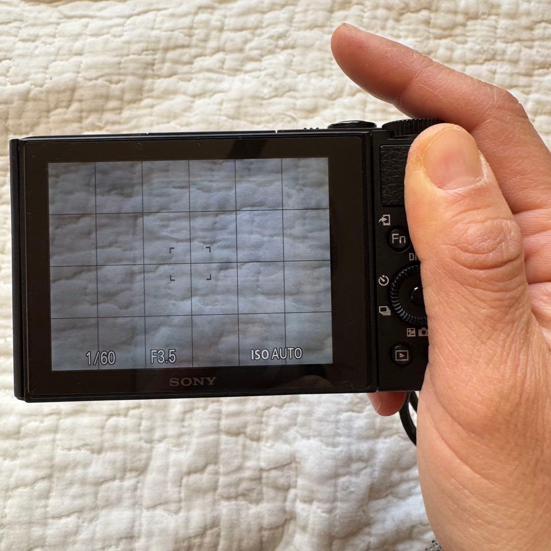 美品！SONY Cyber-Shot DSC-WX500/バッテリーチャージャー