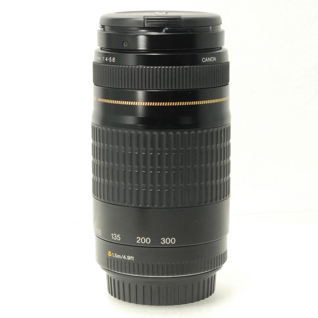 Canon EF 75-300mm USM ❤️ 望遠レンズ キヤノン 一眼レフ