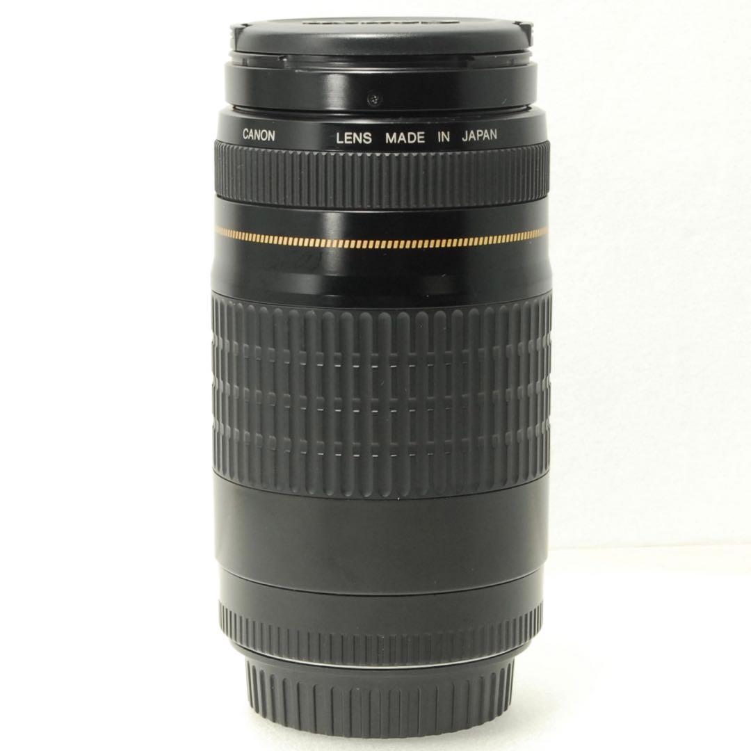 Canon EF 75-300mm USM ❤️ 望遠レンズ キヤノン 一眼レフ
