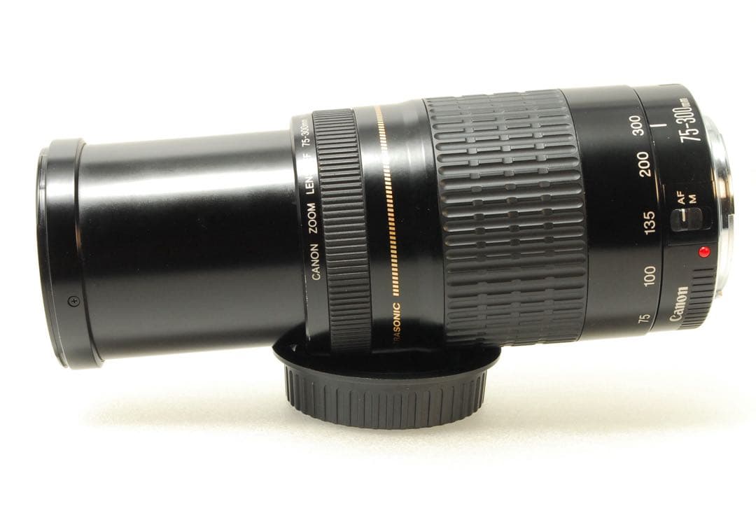 Canon EF 75-300mm USM ❤️ 望遠レンズ キヤノン 一眼レフ