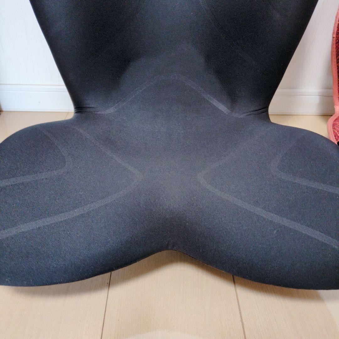 【まとめ売り】MTG style PREMIUM スタイルプレミアム 骨盤矯正